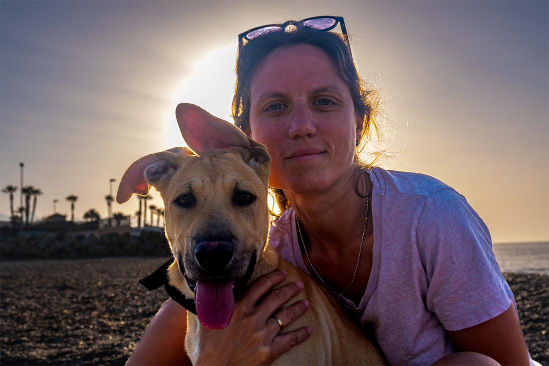 Conoce la historia de La Torita: Inspirada en nuestra cachorrita Sadie