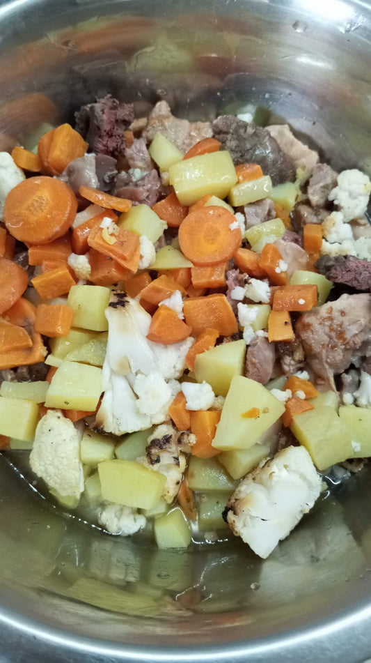 Alimentación canina. ¿Por qué no es bueno darle a tu perro sólo pienso seco?