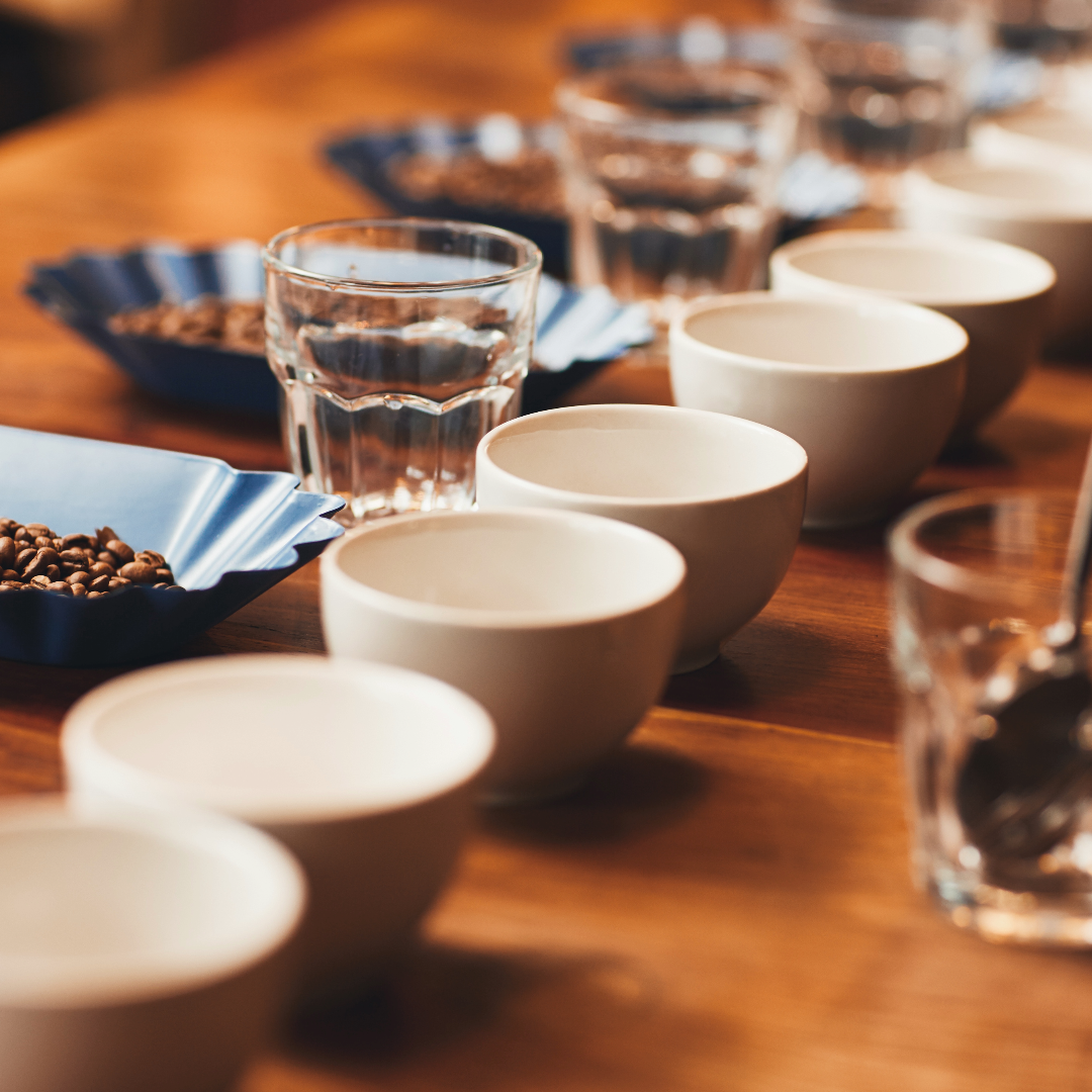 Cata de café de especialidad ¿Cómo se hace un cupping?