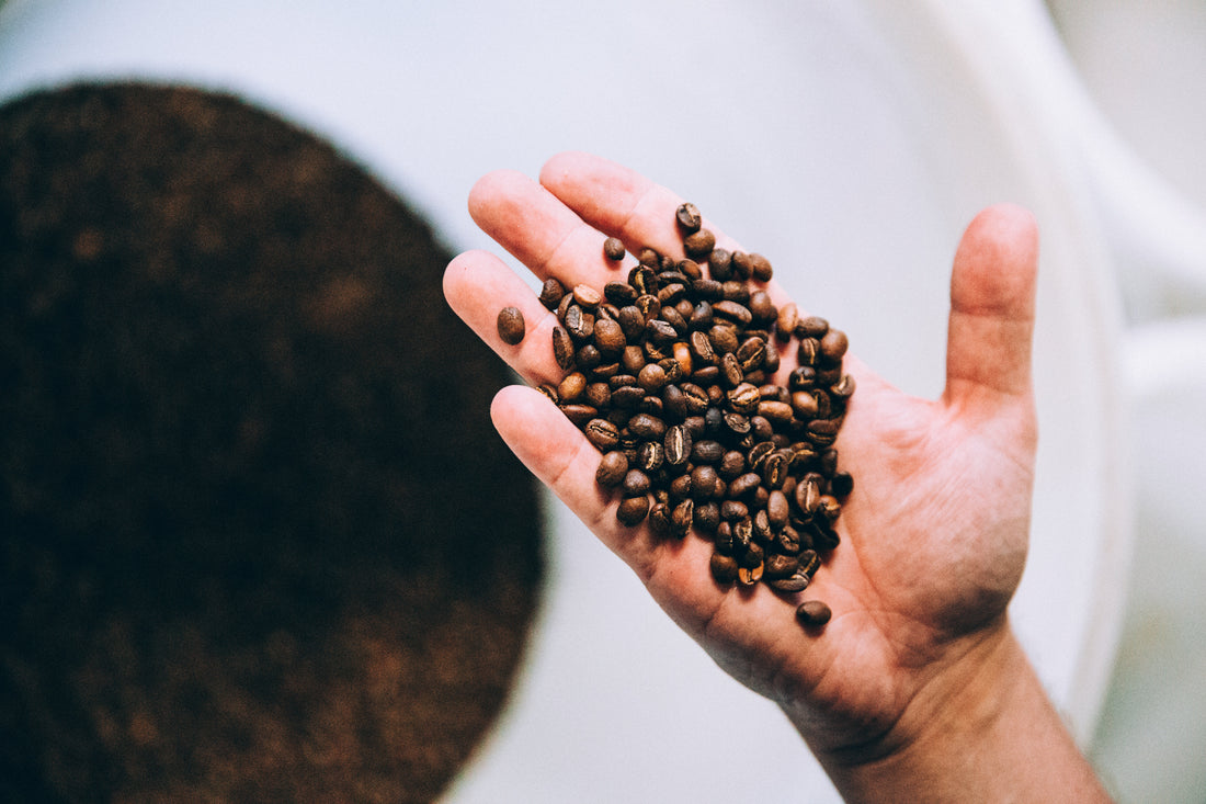 Café en grano o molido ¿Cuál es la mejor opción?