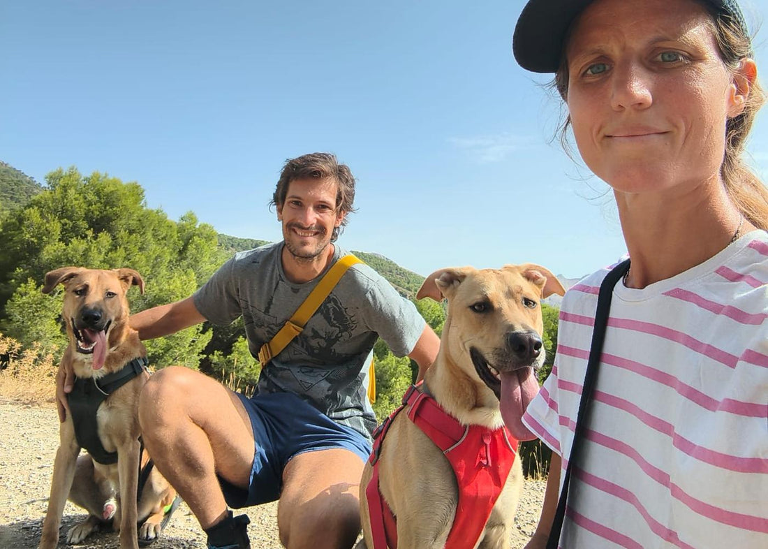 La historia de rescate y adopción de La Torita y Zealand